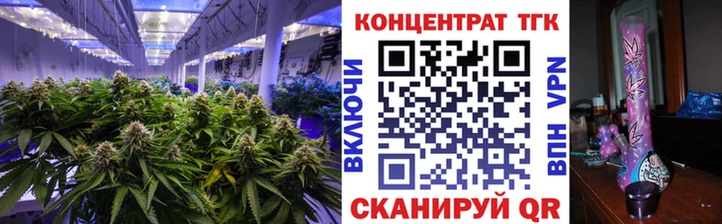 Купить где Будённовск Дистиллят ТГК Wax