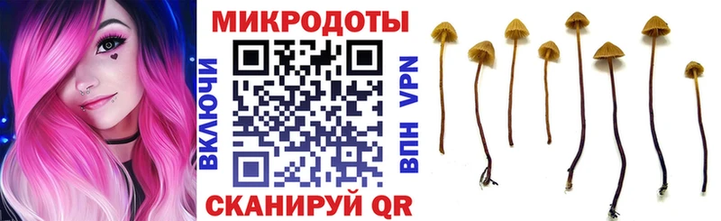 Купить где  Будённовск  Галлюциногенные грибы MAGIC MUSHROOMS 